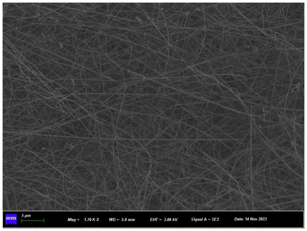 一种生物炭/SiC纳米线气凝胶复合材料及其制备方法