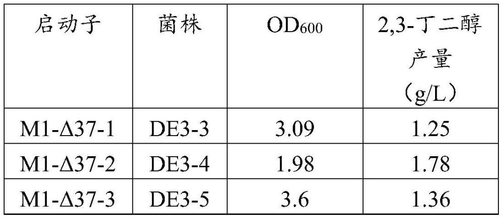 一种产2,3-丁二醇的工程菌及其构建方法与应用与流程