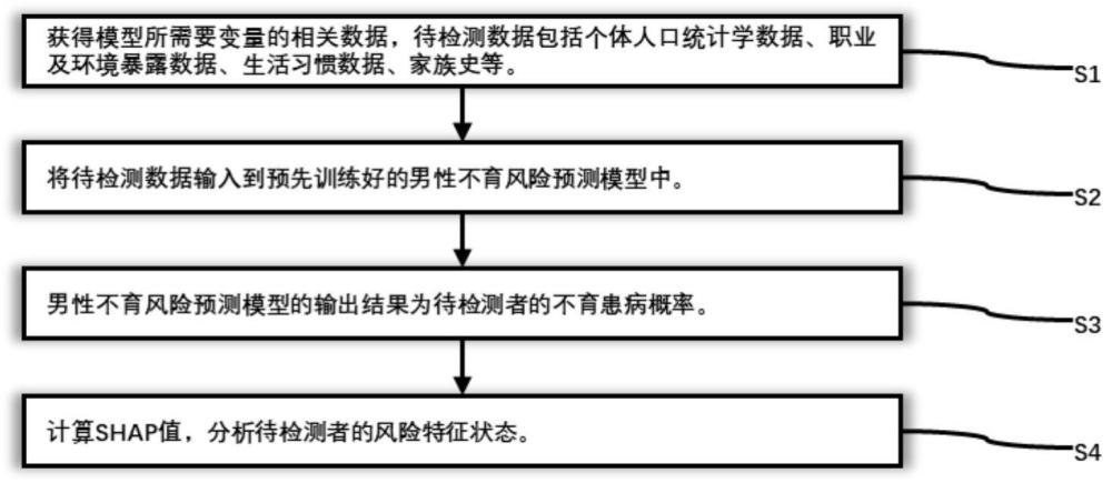 一种男性不育风险预测和风险特征描述的方法及装置