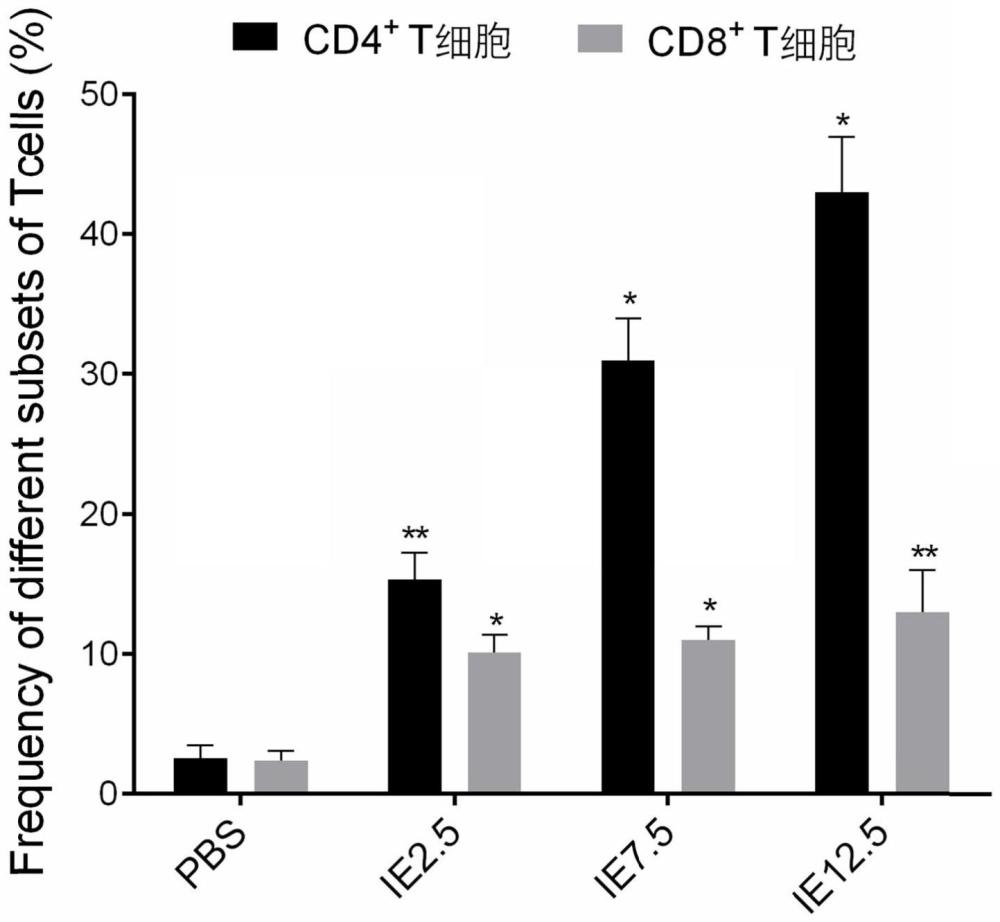 Ii-Key/HPV16 E7/MHC杂交肽及应用的制作方法