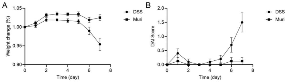 Muribaculum intestinal在制备用于预防和/或治疗肠道疾病药物中的应用