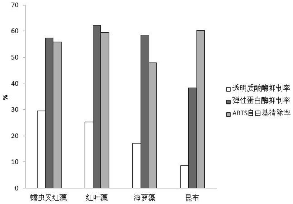 抗皱紧致组合物及其在化妆品中的应用的制作方法