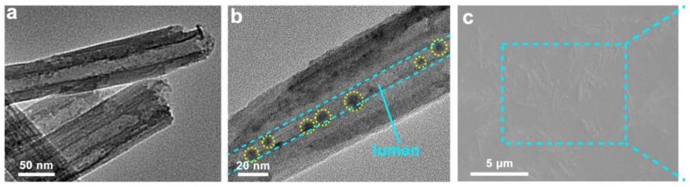 复合荧光材料及其制备方法、钙钛矿基复合光转换膜