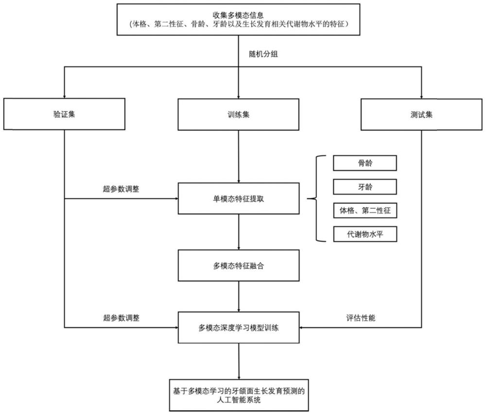 一种牙颌面生长发育预测的人工智能系统