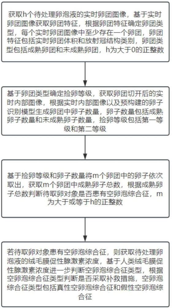 一种快速捡卵用辅助识别方法及系统