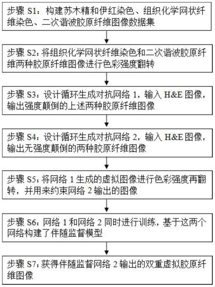 一种基于伴随监督网络的胶原纤维双重虚拟染色图像生成方法