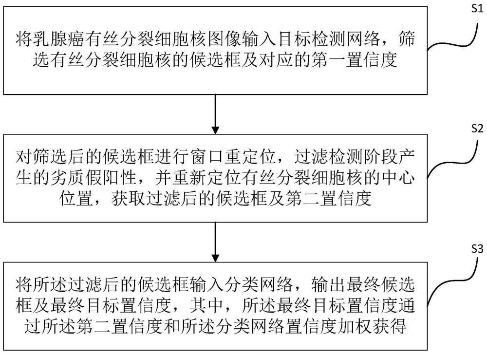 基于目标检测的乳腺癌病理图像有丝分裂细胞核识别方法