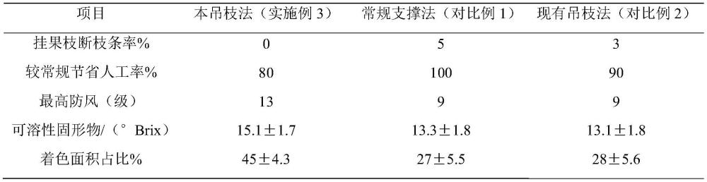 一种果树吊枝方法