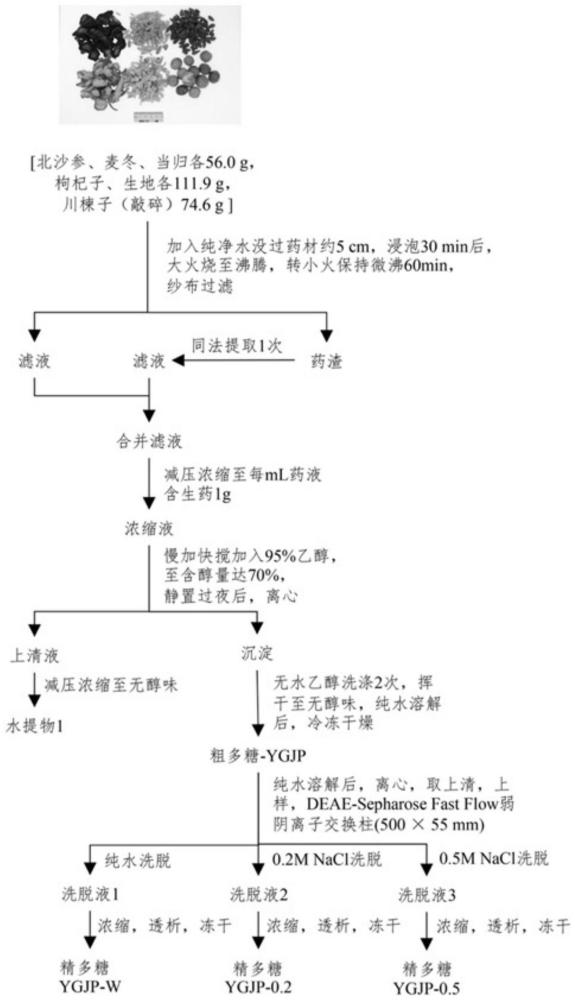 一种包含麦冬的中药组合物中多糖成分防治肝纤维化的用途