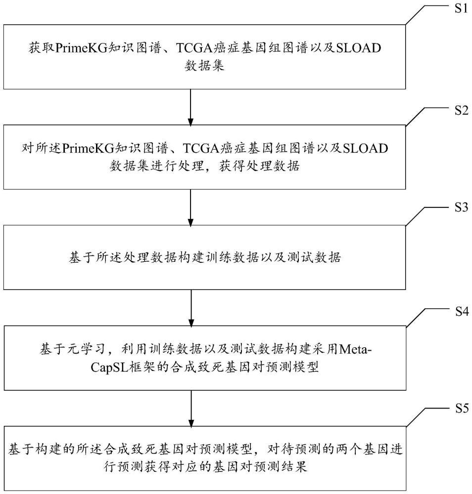 癌症特异性合成致死基因对预测方法、系统及终端