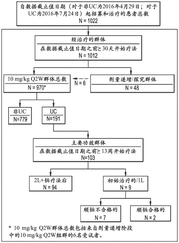 膀胱癌的抗PD-L1抗体治疗的制作方法