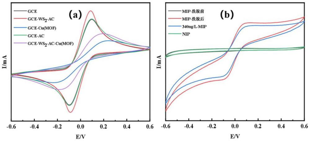 MIPWS2-ACCu-MOF(199)修饰的玻碳电极及其制备方法和电化学传感检测全氟辛烷的方法