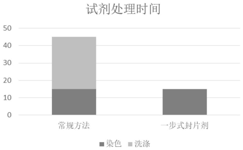 用于标记成像的染色透明一步式封片剂、封片方法及应用