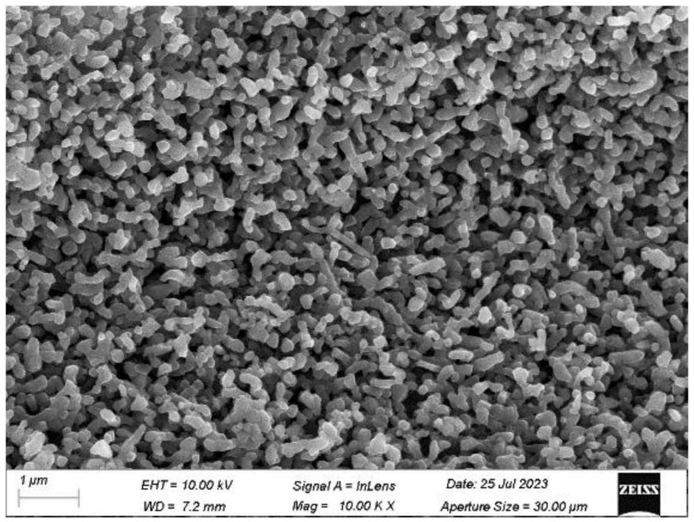 一种纳米碳化硅颗粒及其制备方法和应用
