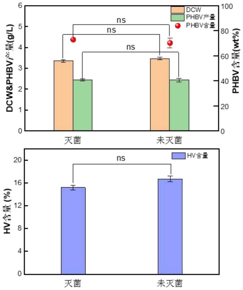 一种嗜盐菌利用挥发性脂肪酸生产PHBV的方法及应用