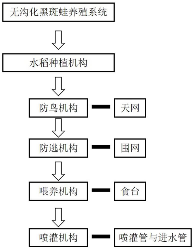 一种无沟化黑斑蛙稻田养殖系统的制作方法