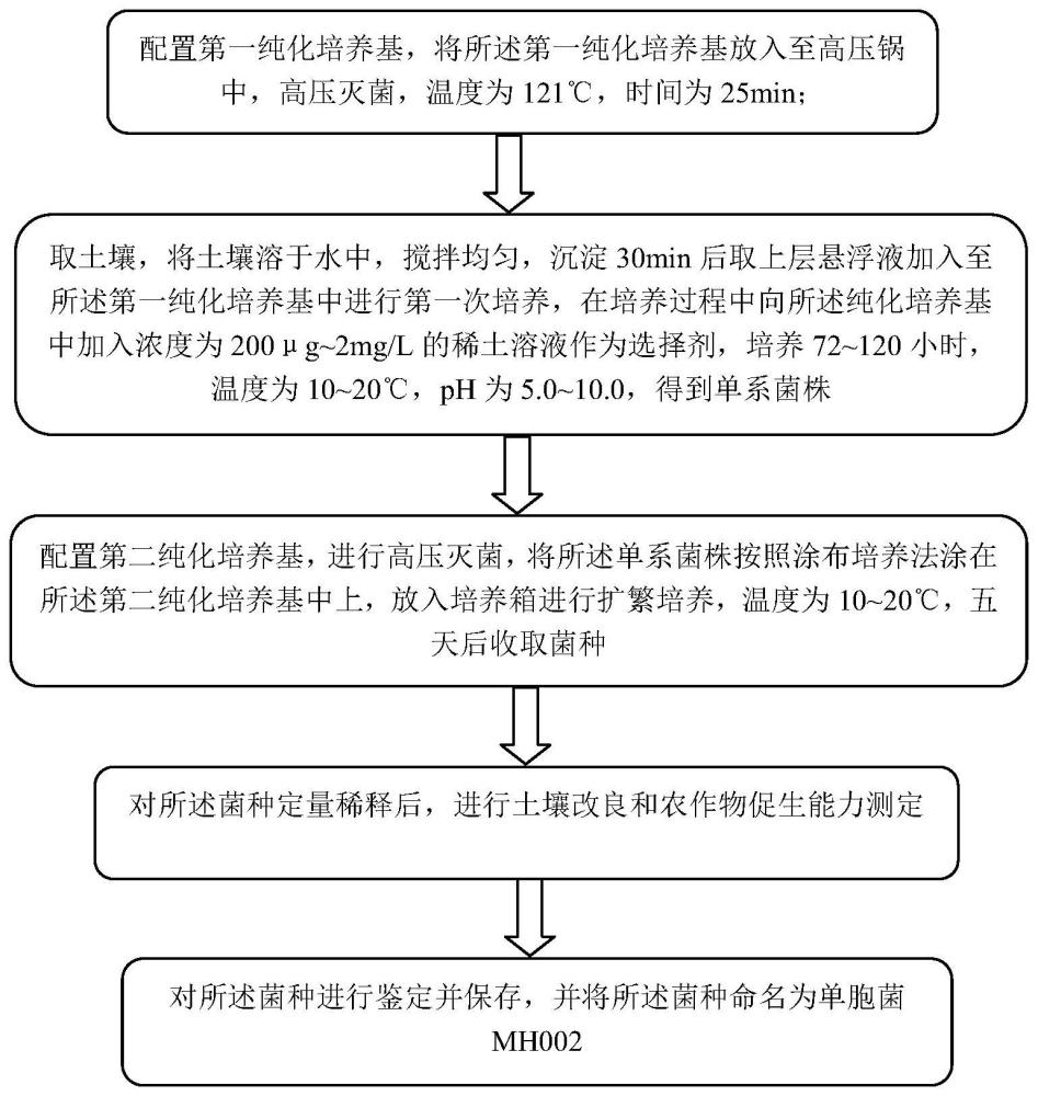 一种单胞菌及其制备方法和应用