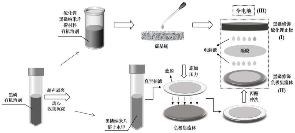 一种无锂负极及其制备方法与锂硫电池