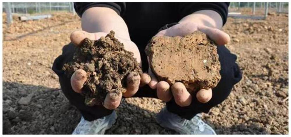 一种具有土壤修复功能的生物有机肥的制作方法