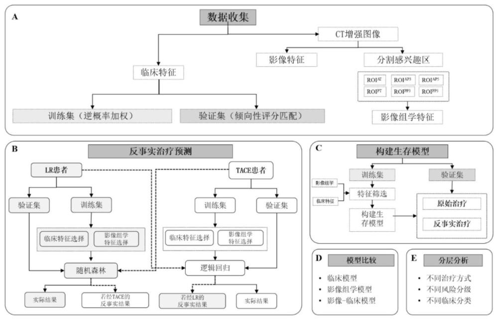 一种肝细胞癌患者经肝切除术和TACE治疗疗效的方法