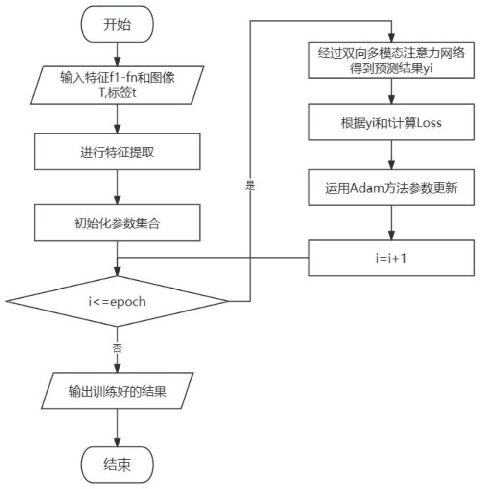 基于双向多模态注意力网络的肝性脑病预测模型及方法