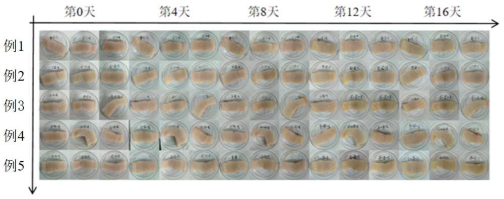 一种鱼肉栅栏保鲜方法