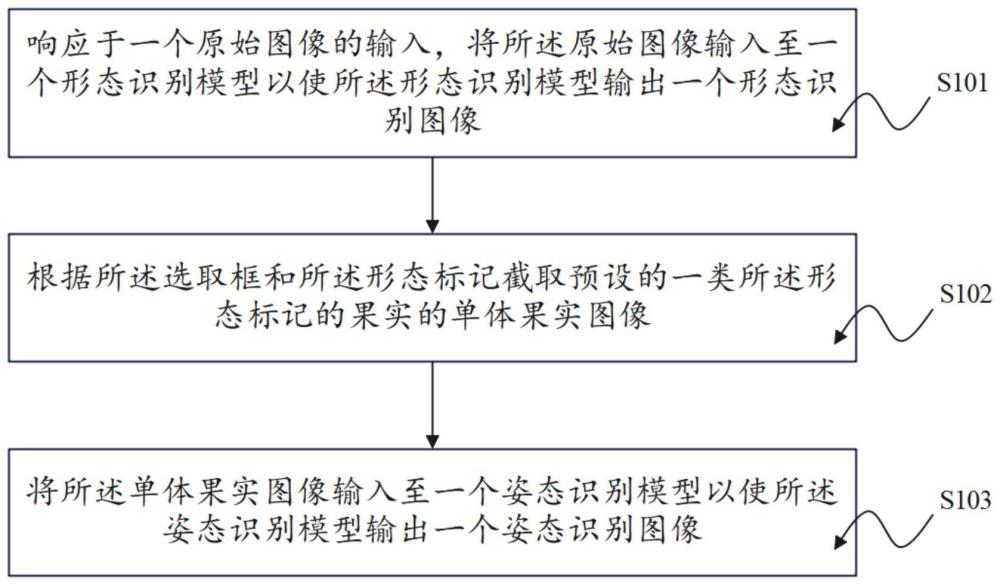 果实姿态识别方法、装置、电子设备及存储介质