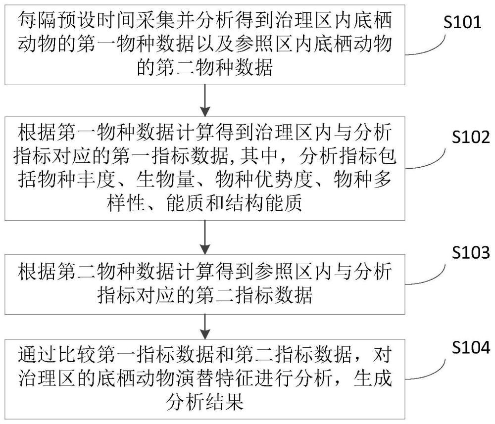 互花米草治理后底栖动物演替特征分析方法及相关组件与流程