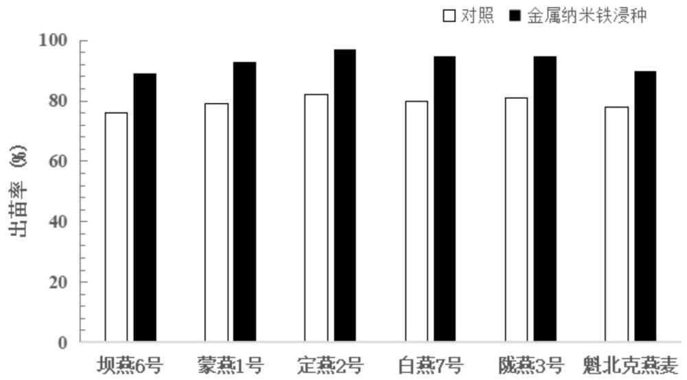 一种促进皮燕麦种子萌发和幼苗生长的浸种液及其制备方法与应用