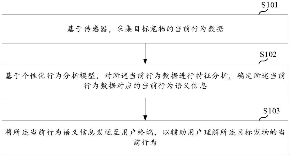 宠物行为分析方法、装置、设备及介质与流程