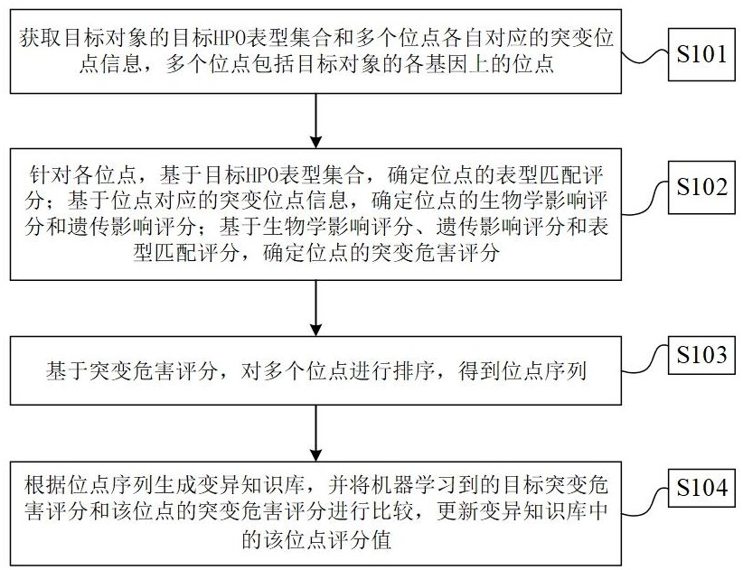 遗传变异位点的危害性排序方法及装置与流程