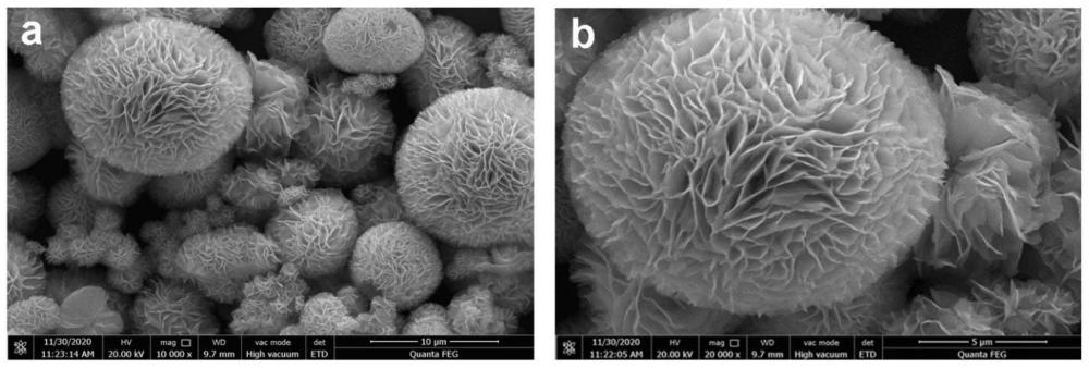一种三维花朵状微球Zn10In16S34光催化材料的制备方法及应用