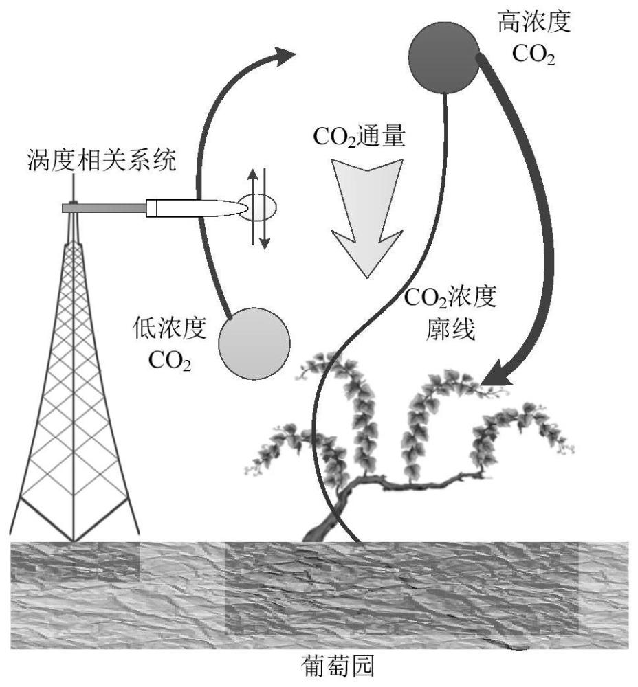 一种葡萄园生态系统天-空-地一体化碳汇监测系统及检测方法