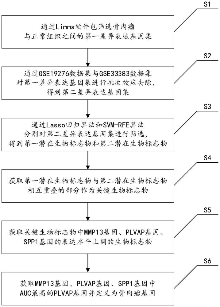 一种骨肉瘤基因的识别方法、装置、设备及存储介质与流程