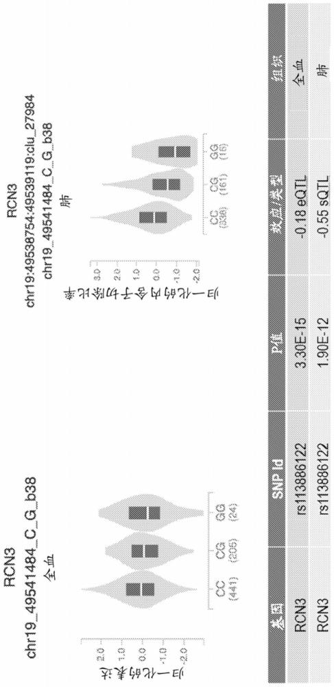 内质网钙结合蛋白-3(RCN3)变体和用白细胞介素-4受体α(IL4R)拮抗剂治疗哮喘的制作方法