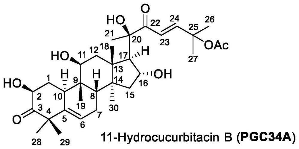 葫芦素类化合物11-氢葫芦素B及其药物组合物与应用的制作方法