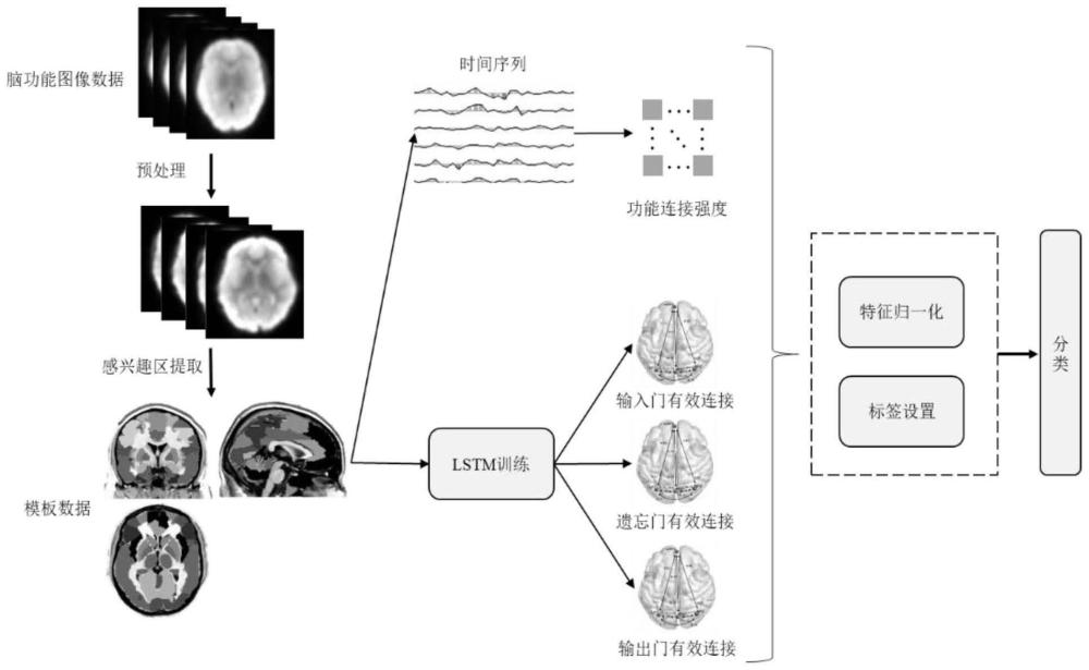 基于LSTM有效连接脑网络模型的抑郁症特征分析方法及系统