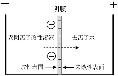 一种改性阴离子交换膜及其制备方法和应用与流程