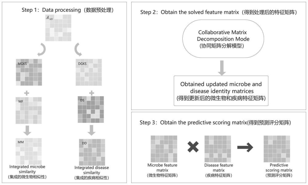 一种基于矩阵分解算法的微生物-疾病相互作用预测方法