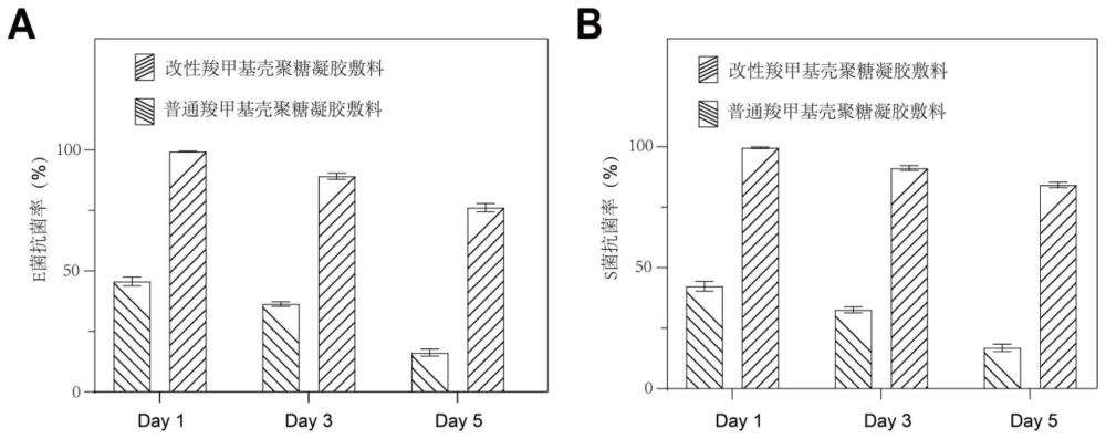 一种长效抗菌的羧甲基壳聚糖凝胶及其制备方法与应用