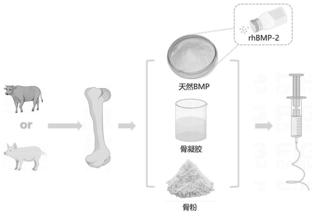 一种可注射凝胶样骨诱导修复材料及其制备方法