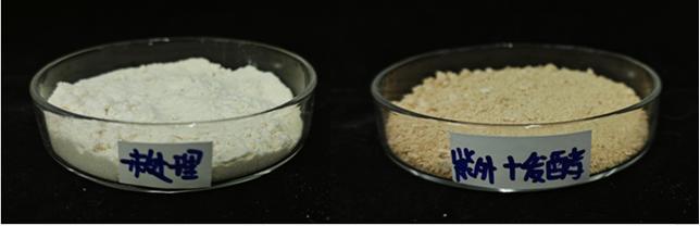 一种豆渣联合改性技术及豆渣益生菌果冻的制备方法