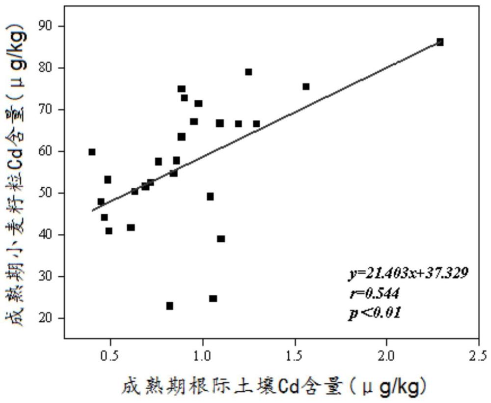 降低镉和铅生物有效性的复合钝化剂及其制备方法和应用