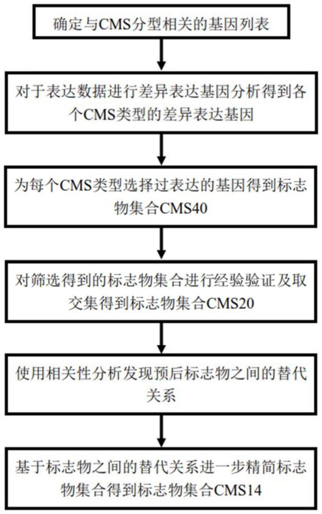 用于肠癌预后的标志物组、产品、系统及其用途