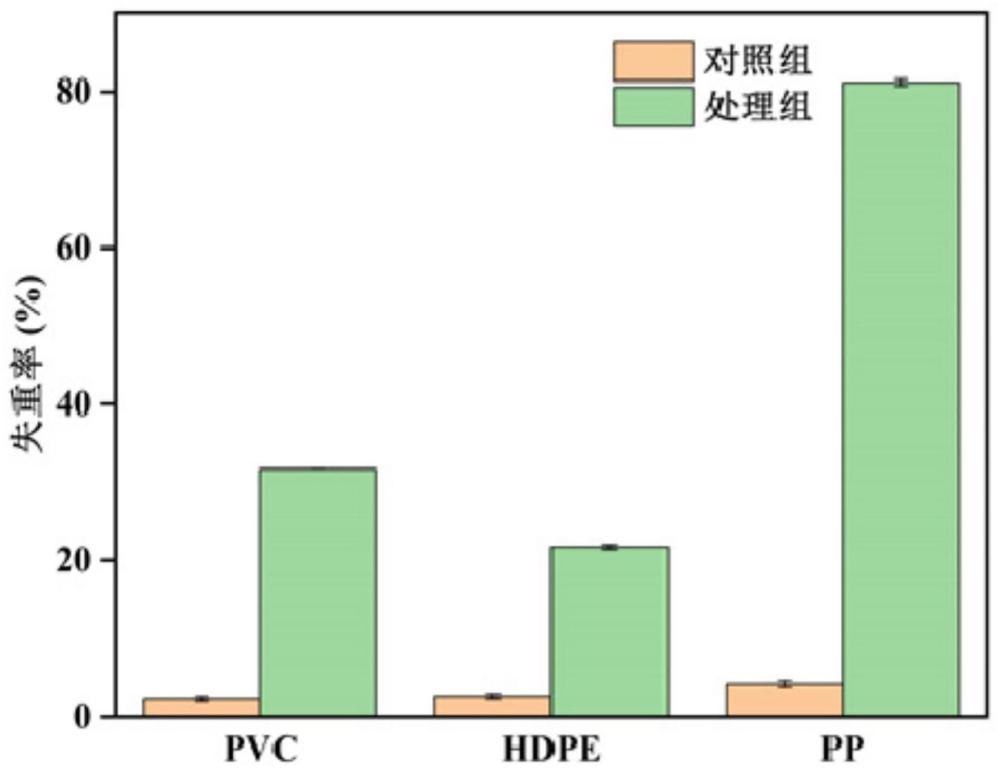 裂殖壶菌在微塑料降解中的应用