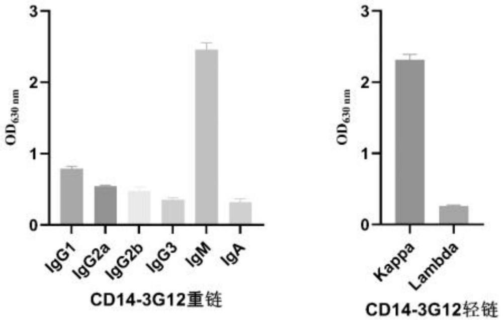 抗猪CD14单克隆抗体的制备方法及其应用