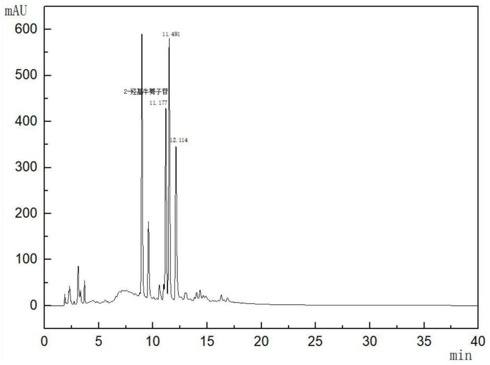 一种红花籽粕中2-羟基牛蒡子苷和罗汉松树脂苷的提取和检测方法与流程