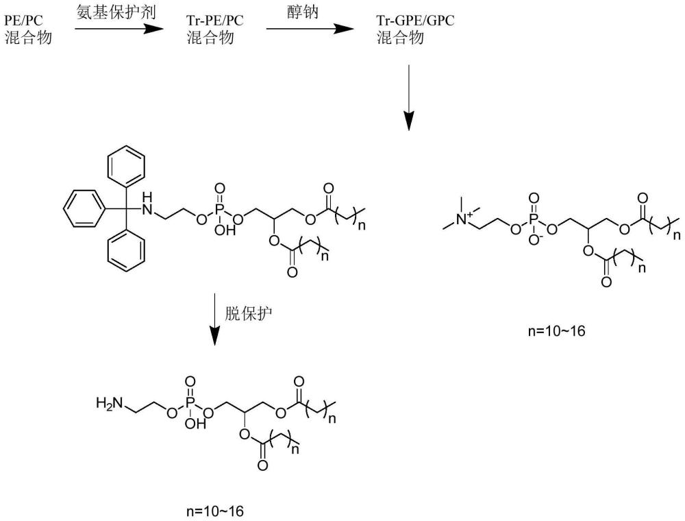 一种同时制备特定磷脂酰胆碱和磷脂酰乙醇胺的方法与流程