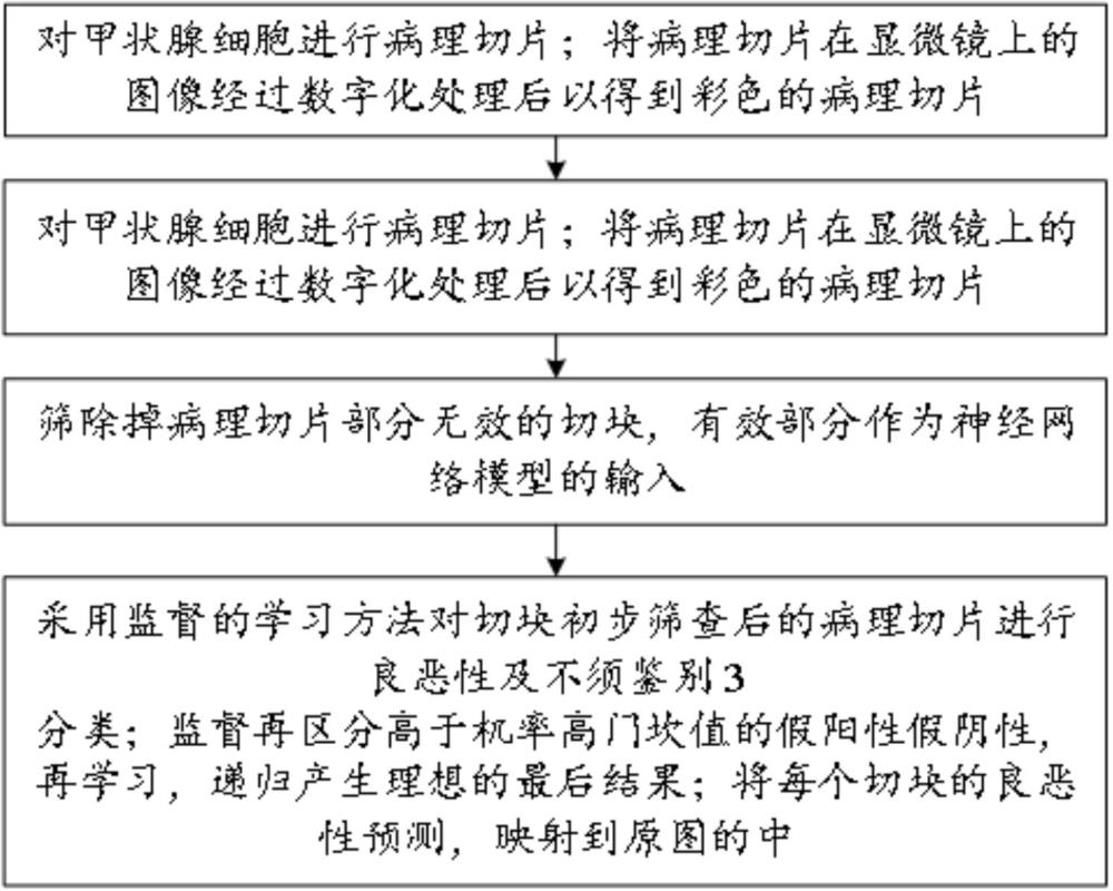 一种病理切片的智能检测方法及系统与流程