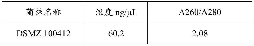 一种分离嗜酸硫杆菌菌体与黄钾铁矾沉淀的方法与流程